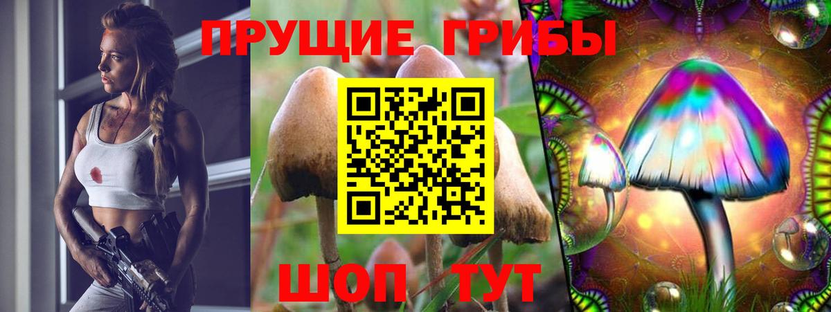 Галлюциногенные грибы GOLDEN TEACHER Жуковский
