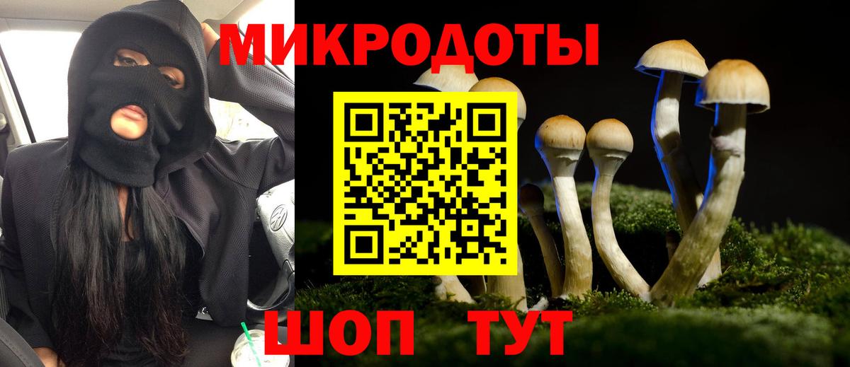 Жуковский  Псилоцибиновые грибы Magic Shrooms  Псилоцибиновые грибы GOLDEN TEACHER  где продают наркотики  Вход с VPN 