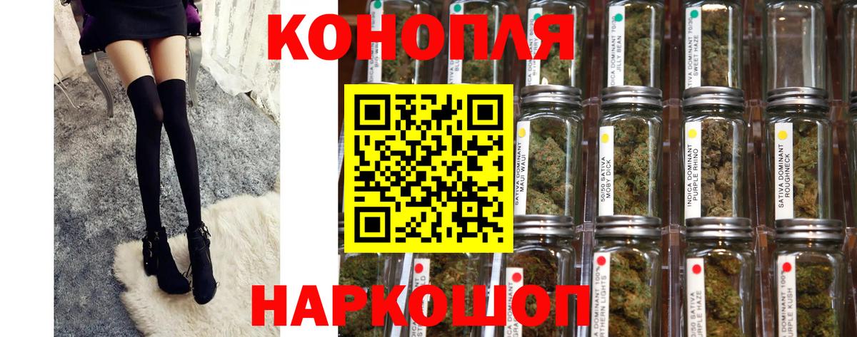Каннабис MAZAR Жуковский